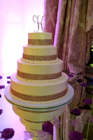 7.  Reception Entrance, Cake Cutting, Toasts